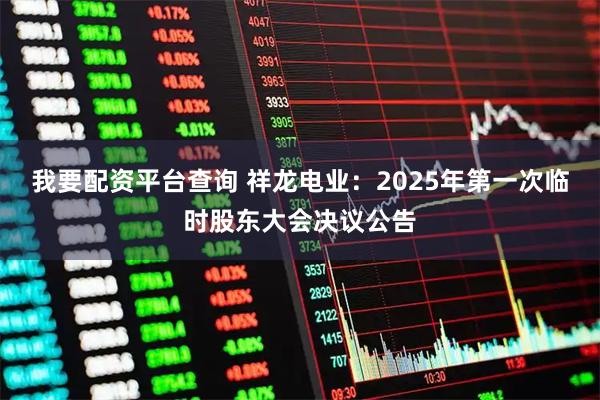 我要配资平台查询 祥龙电业：2025年第一次临时股东大会决议公告