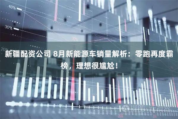 新疆配资公司 8月新能源车销量解析：零跑再度霸榜，理想很尴尬！