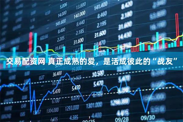 交易配资网 真正成熟的爱，是活成彼此的“战友”