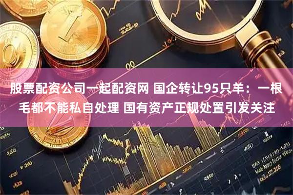股票配资公司一起配资网 国企转让95只羊：一根毛都不能私自处理 国有资产正规处置引发关注