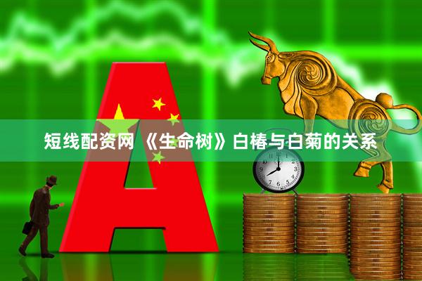短线配资网 《生命树》白椿与白菊的关系