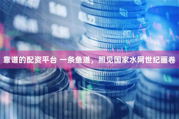 靠谱的配资平台 一条鱼道，照见国家水网世纪画卷
