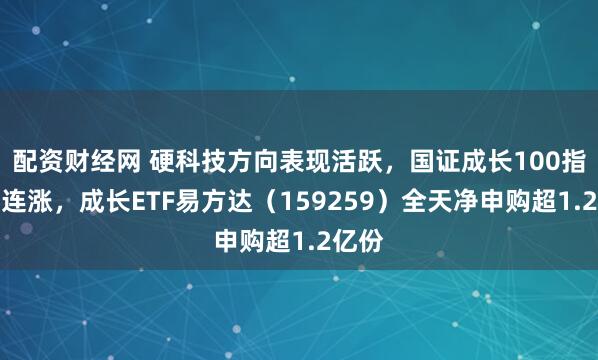 配资财经网 硬科技方向表现活跃，国证成长100指数三连涨，成长ETF易方达（159259）全天净申购超1.2亿份